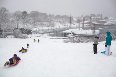 children sledding at Camden’s Harbor Park